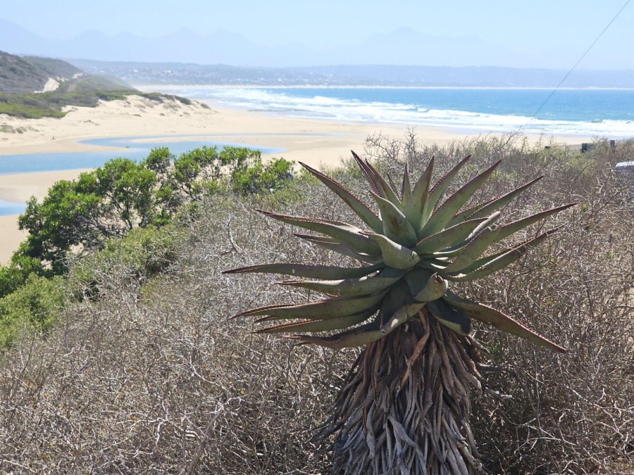 Commercial Property for Sale in Hartenbos Central Western Cape
